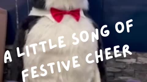 Merry Christmas - A little festive cheer - song