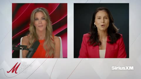 MEGYN KELLY Tulsi Gabbard Destroys Kamala Harris' Actual Record and Lawlessness