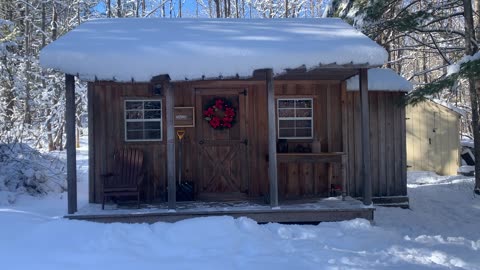 Tiny cabin in the woods