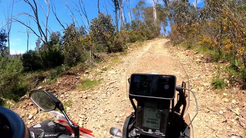 Fun In The Hotham Alpine Region Pt I.