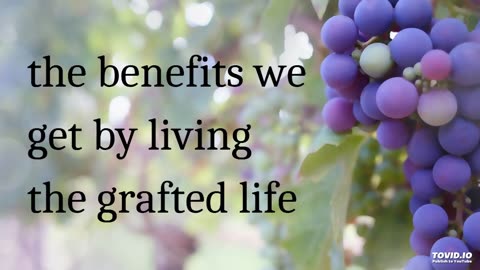 the benefits we get by living the grafted life