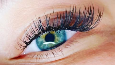 Lashnation, LLC - Professional Eyelash for Extensions in Alexandria, VA