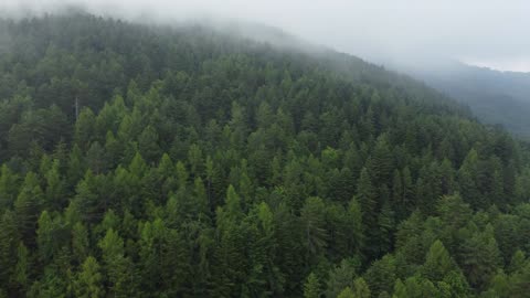 Drone Shots/Royalty cloudy day in mountain in summer