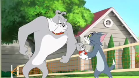 Tom vs BullDog | Funny Cartoon Videos | Tom and Jerry