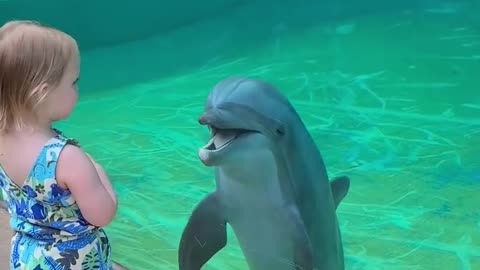 Dolfin Funny moments with children 🤣