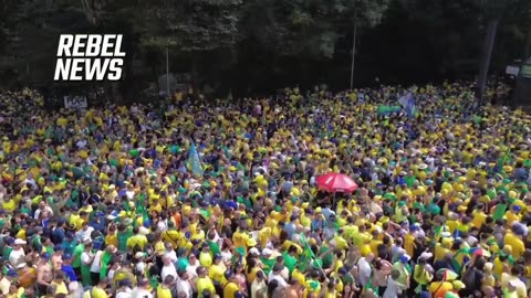 ブラジル最高裁がＸを禁止 大規模抗議デモ 旗に注目 Protest in Brazil 2024/09/07