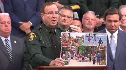 'Florida's anti-riot bill for dummies' by Polk Sheriff Grady Judd