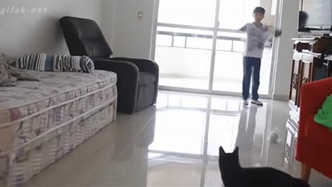 This Cat Should Have Been A Goal Keeper