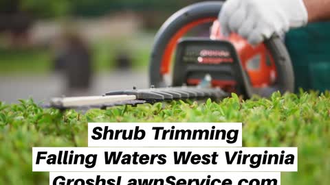 Shrub Trimming Falling Waters West Virginia Landscaping Contractor