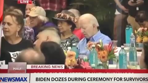 Sleepy Joe takes a nap in Maui 😴😴😴