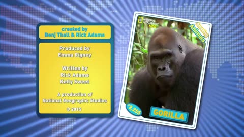 Gorilla