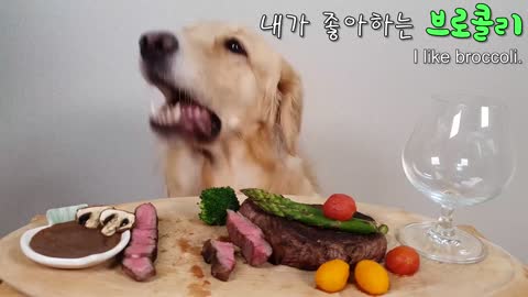 My Dog Eating Show Steak& Wine Asparagus Mukbang