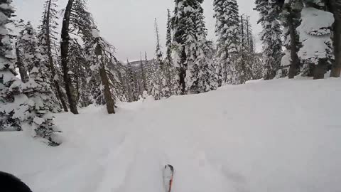 Fresh Powder!