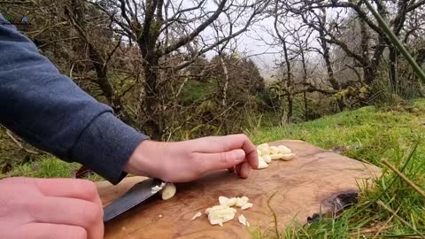 An incredible Recipe for Crispy Whole Chicken with Potatoes and vegetables cooked in nature