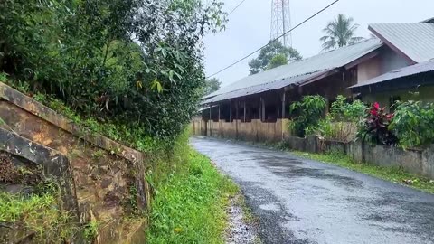 Heavy rain in June||Beautiful mountainside countryside||so refreshing