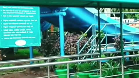 Shirdi Water Park _ Cobra ride🐉& All Rides _ Wet N Joy _ #india #rides #shorts