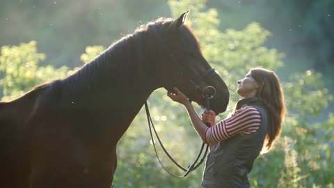 Young woman stroking horse's nose in the woods early in the morning, beautiful rays