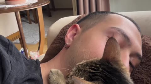 Possessive Cat Tells Owner's Girlfriend to Back Off