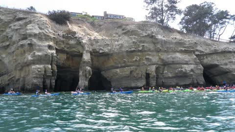 LA JOLLA #SHORTS