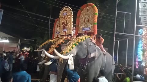 Kerala culturel Elephant vedio