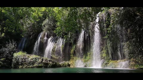 Relaxing Nature Sounds of a Soothing Waterfall with Forest - Relaxation & Sleeping