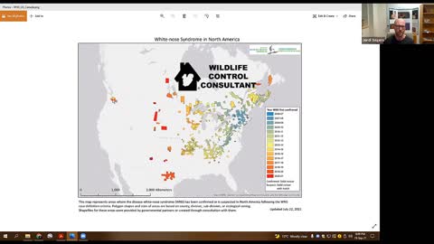 Jordi Segers on White Nose Syndrome and threats to Bats in Canada