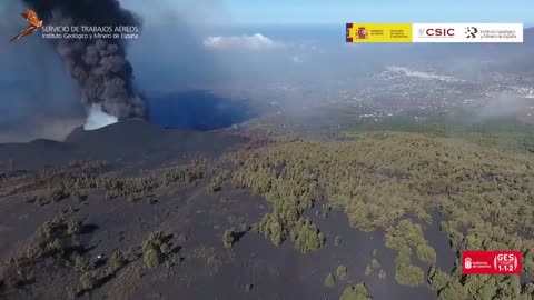 La Palma Forest Covered In Ash