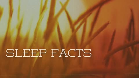 Sleep Facts