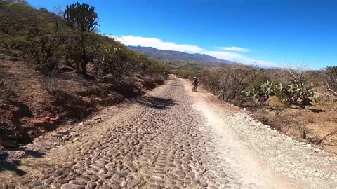 Mountain Biking Trail