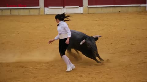 BULLFIGHT