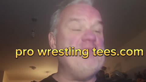 prowrestleingtees / wrestlecrate overstock mystery box