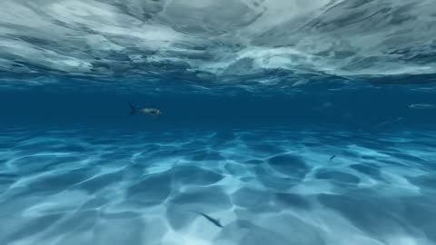 man swimming under the gentle waves of the sea