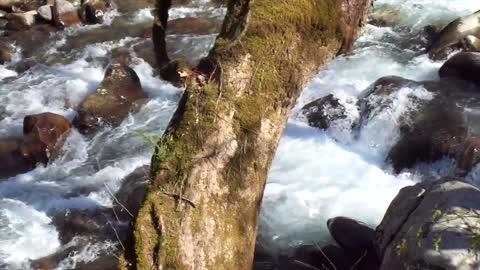 Mountain River Clip 32