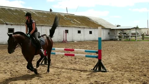 Horse woman jumps through the barrier on horseback slow motion