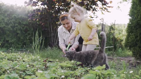 Mama kitty cat play with kids children baby funny cat