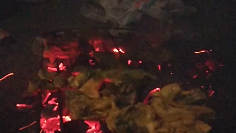 Bakar bakar ayam