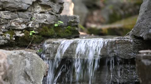 Closeup of small water