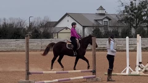 A little jumping at my horse lesson