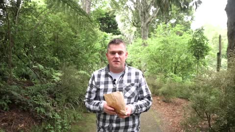 The joys of the humble New Zealand mince pie