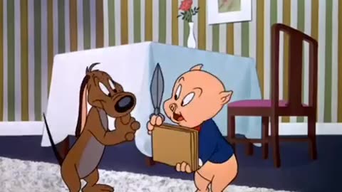 Looney tunes in hindi episode 9