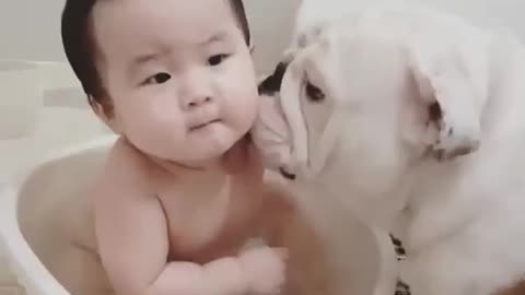 Little master and little dog