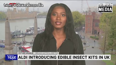 Aldi Considers Selling Edible Insects "To Help Families Through the Cost-of-living Crisis"