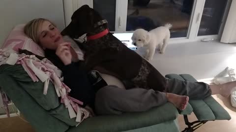 Dog love his momy loving