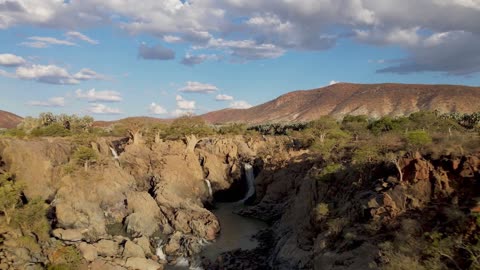 Baobab The Ancient African Water Giant