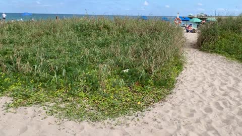 Through the Arch at Anglin's Square, deep into the famous Lauderdale-by-the-Sea sandy beach