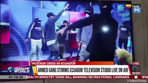 Armed gang storms Ecuador television studio live on air