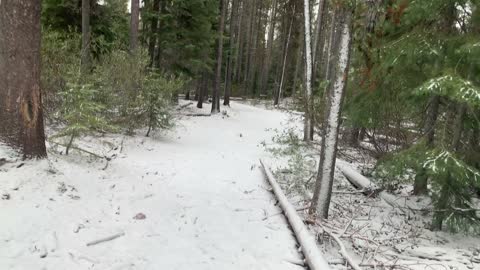 Ecological Demarcation Line – Central Oregon – Edison Sno-Park – 4K