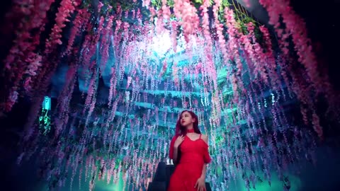 BLACKPINK - ‘뚜두뚜두 (DDU-DU DDU-DU)’ M_V