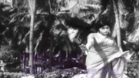 thanga thambi 1979 TMS LEGEND SINGAPORE TMS FANS M.THIRAVIDA SELVAN SINGAPORE SONG 2