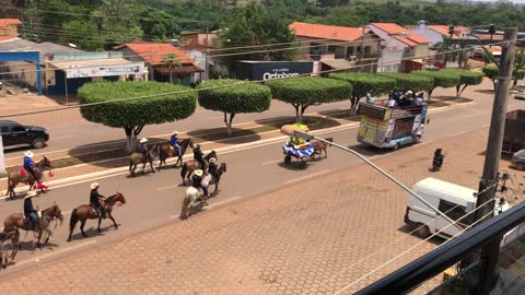 Horse parade